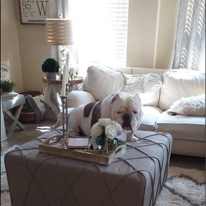 Meet your Posher, Donna